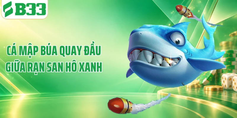 Cá mập búa quay đầu giữa rạn san hô xanh