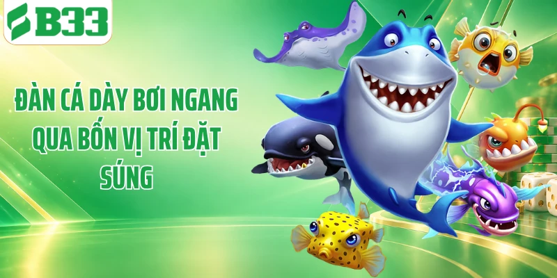 Đàn cá dày bơi ngang qua bốn vị trí đặt súng