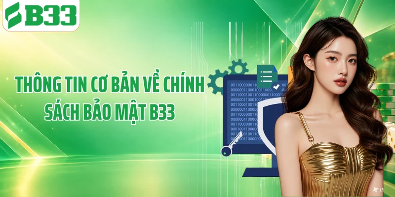 Thông tin cơ bản về chính sách bảo mật B33