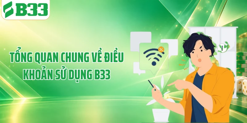 Tổng quan chung về điều khoản sử dụng B33